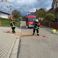 2cd71cfd-a56e-47ce-a25e-6b02de5cdbfc.jpg